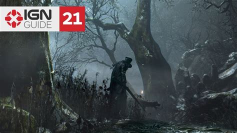 ign bloodborne walkthrough|Forbidden Woods .